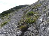 Planina Ravne - Kocbekov dom na Korošici